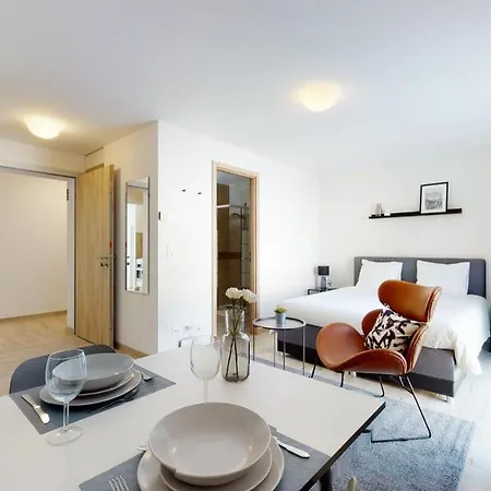 Furnished Studio #306 - Swiss Apartment