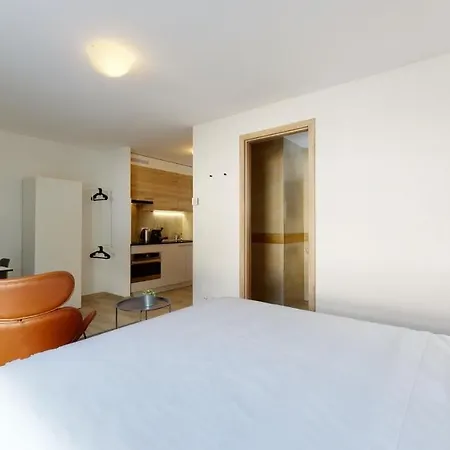 Furnished Studio #306 - Swiss Aigle